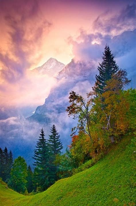 Honeymoon - Bernese Alps, Switzerland #2047792 - Weddbook