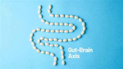 Understanding The Gut Brain Connection Exploring The Impact Of