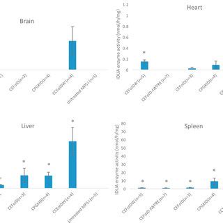 Idua Transgene Expression In Tissues Of Mps I Mice Treated With