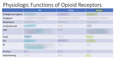 Exam 2- Physiologic Functions of Opioid Receptors Diagram | Quizlet