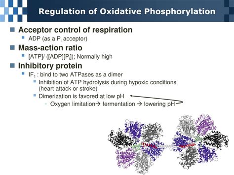 Ppt Rotational Catalysis Mechanism Powerpoint Presentation Free