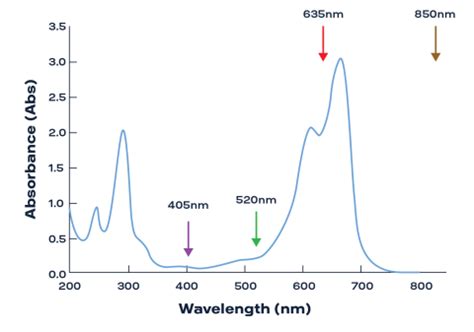 Understanding Absorbance At Specific Wavelengths