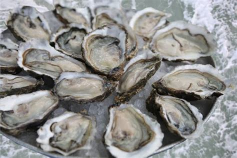 Man In His 30s Dies From Flesh Eating Bacterial Infection He Caught From Eating Raw Oysters