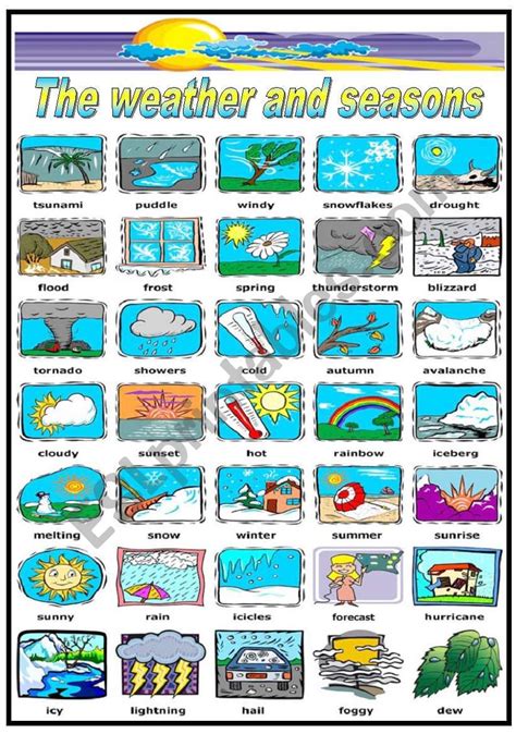 The Weather And Seasons Pictionary B W Version Included Esl