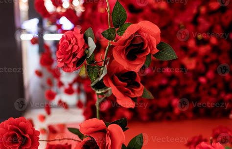 Red artificial roses 11056643 Stock Photo at Vecteezy