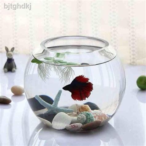 Jual Aquarium Akuarium Toples Vas Fish Bowl Bulat Kaca W Design Luna B