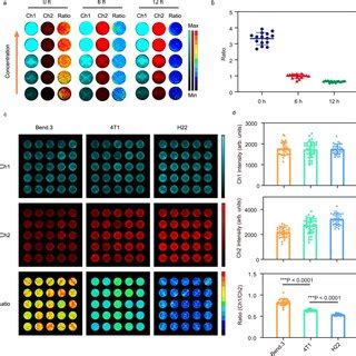 The Ratiometric Imaging Of Ir NP In Vitro A B Luminescent Imaging And