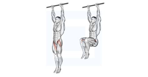 Hanging Leg Raise - Guide, Benefits, and Form