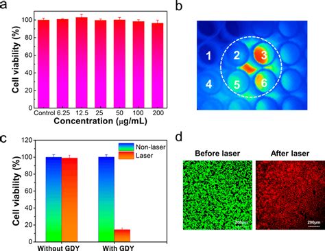 In Vitro Photothermal Therapy A Cell Viability Of 4T1 Cells After