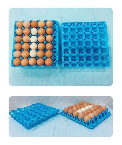 Bekas Plastik Tempat Letak Telur Container Plastic Eggs Tray Shopee