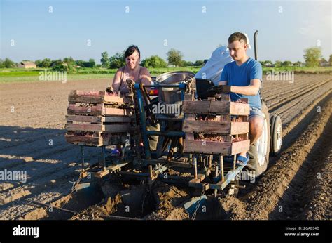 La Gente Est Plantando Un Campo Con Patatas Automatizaci N Del