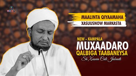 Muxaadaro Cusub Qisooyin Qalbiga Taabanaaya Maalinka Qiyaamaha