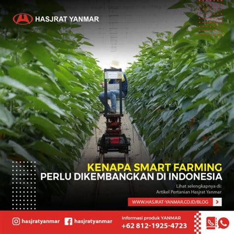 Kenapa Smart Farming Perlu Segera Dikembangkan Di Indonesia Hasjrat