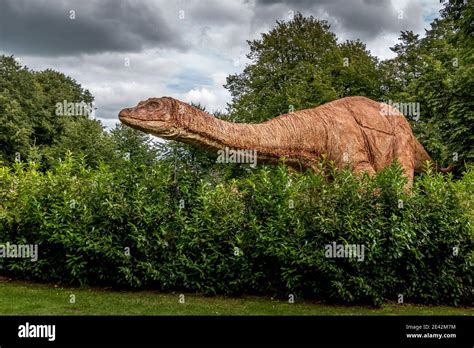 Dinosaurio Brontosaurio Fotografías E Imágenes De Alta Resolución Alamy