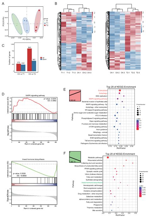 Toxins Free Full Text An Integrative Analysis Of Transcriptomics