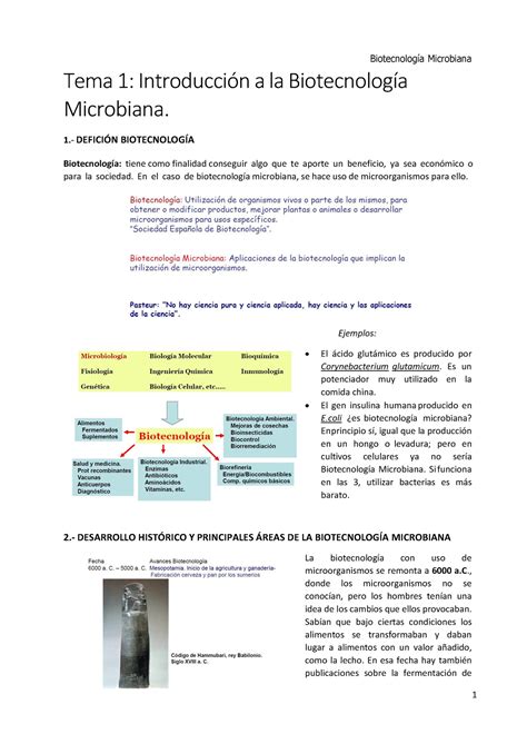 TEMA 1 BM temas Biotecnología Microbiana Tema 1 Introducción a la