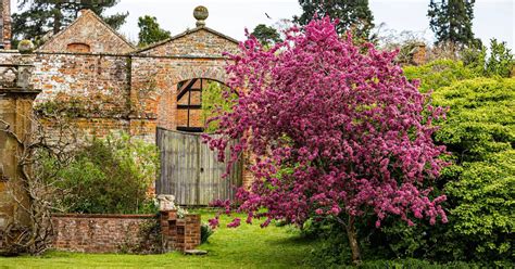 National Trust Promises Incredible Show Of Blossom