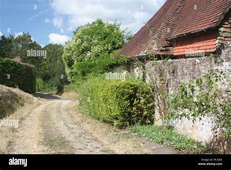 Halnaker Park Hi Res Stock Photography And Images Alamy