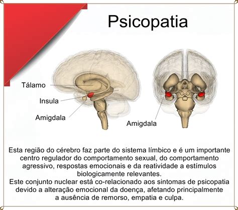 As Tr S Fases Do Relacionamento Perversos Narcisistas Terceira Margem