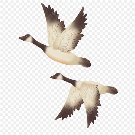 Geese In Flight Clipart People