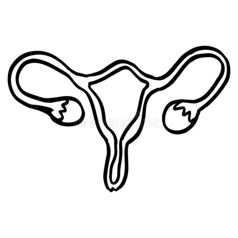 Female Uterus Doodle Icon Vector Isolated Symbol Of A Female Internal Organ Womb And Ovary