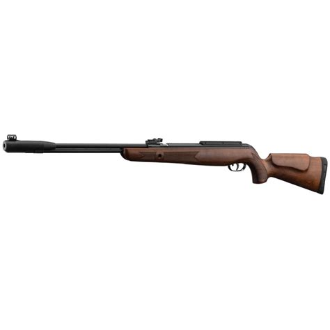 Carabine Gamo Cfx Royal Canon Fixe Cal Mm