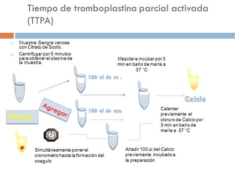 Pruebas De Coagulaci N Ppt Video Online Descargar