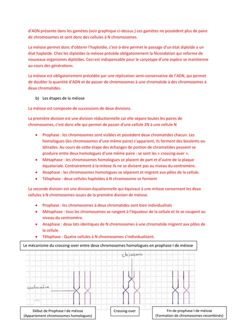 Cours De Svt Terminale S Sur La Génétique Et Lévolution Axel