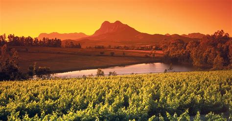 From Cape Town Private Guided Winelands Tour With Pickup Getyourguide