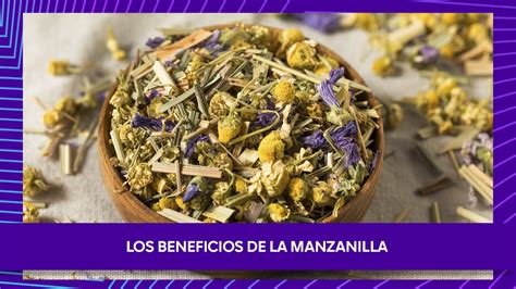 Los Beneficios De La Manzanilla Anytime Fitness España