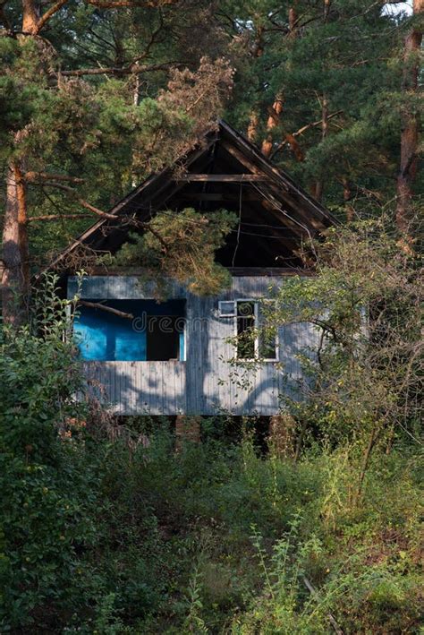 Summer Wooden House For Rest In The Forest Abandoned Wooden House In