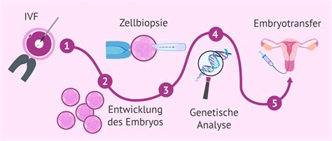 Wie Wird Eine Pid Schritt F R Schritt Durchgef Hrt