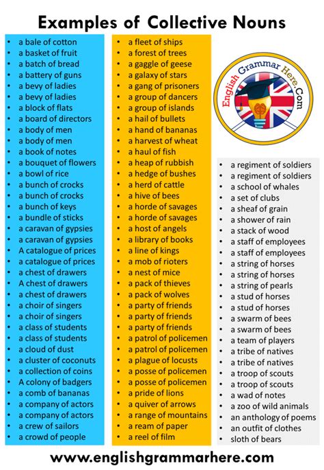 Collective Nouns Sample Sentences