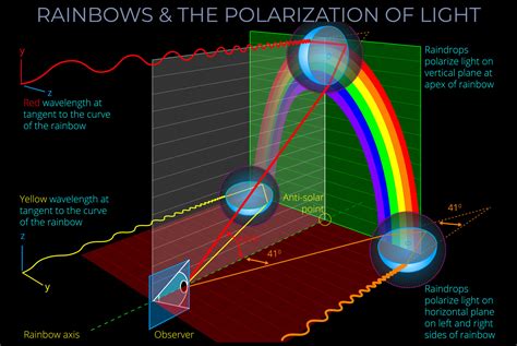 Polarization