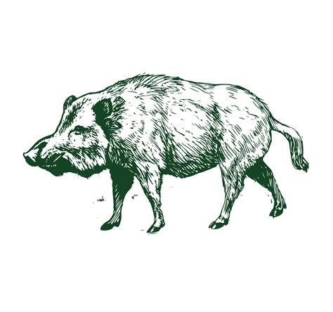 Пельмени