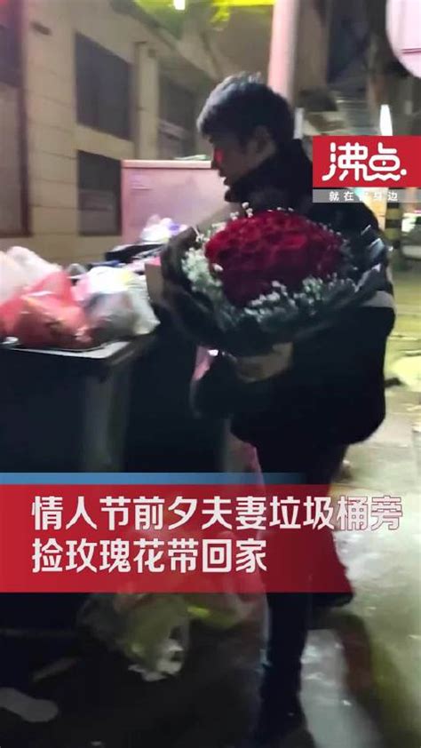 小夫妻捡垃圾桶旁玫瑰花带回家装饰 经济环保不浪费 夫妻 新浪新闻