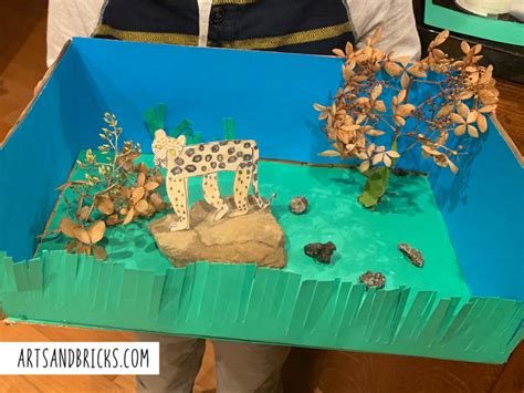 Grassland Biome Diorama