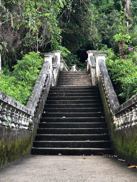 Premium Photo | Staircase in garden