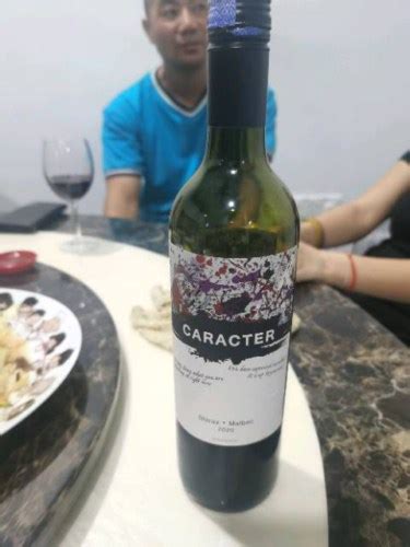 Bodegas Santa Ana Caracter Shiraz Malbec Vivino Us