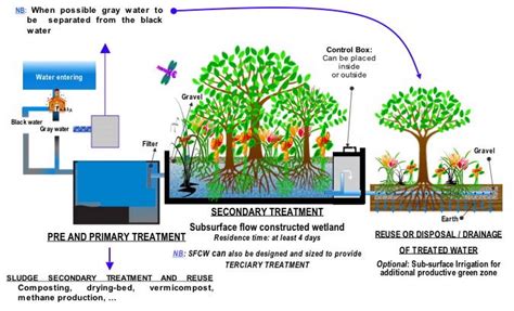 Sewage treatment - Wikipedia