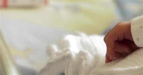 neonatologist how to become