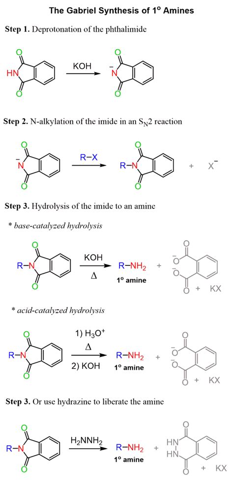 The Gabriel Synthesis - Chemistry Steps