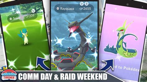 Shiny Rayquaza Tips Counter Guide Raid Weekend 100 Ivs 52 Off