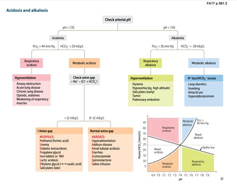 Renal Physiology Acidosis And Alkalosis Usmle Rx Renal