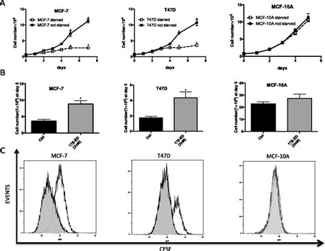 Estradiol Induces Cell Proliferation In Mcf And T D Cells But