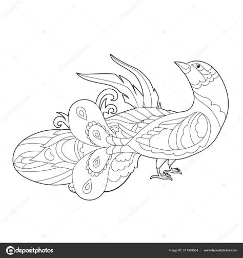 Cute Peacock Doodle Style Black White Background Funny Bird Coloring Stock Vector Image By