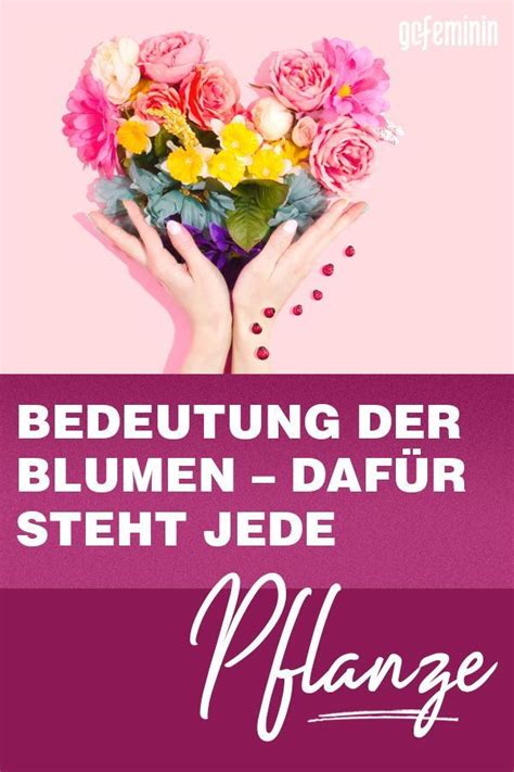 Blumen Und Ihre Bedeutungen Daf R Steht Jede Pflanze Bedeutung Von