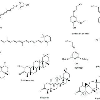 Chemical Structure Of Some Major Alkaloids Isolated From Giant Reed