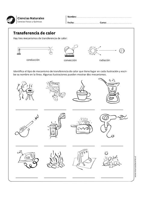 Transmisión del calor worksheet Transferencia de calor Ciencias