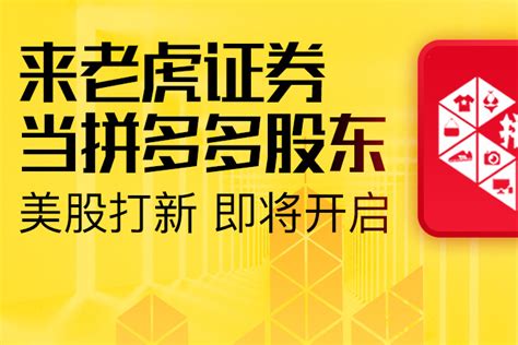 拼多多赴美ipo融资187亿美元 老虎证券将开启打新通道